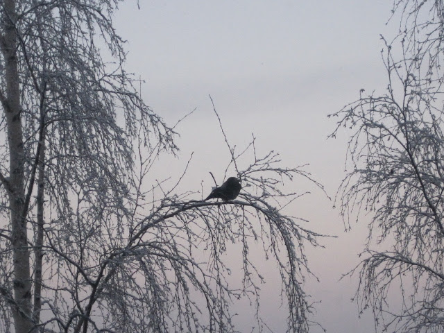 IMG_0146_.jpeg