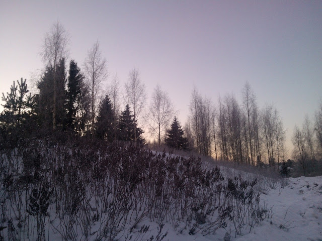 WP_000274_.jpeg
