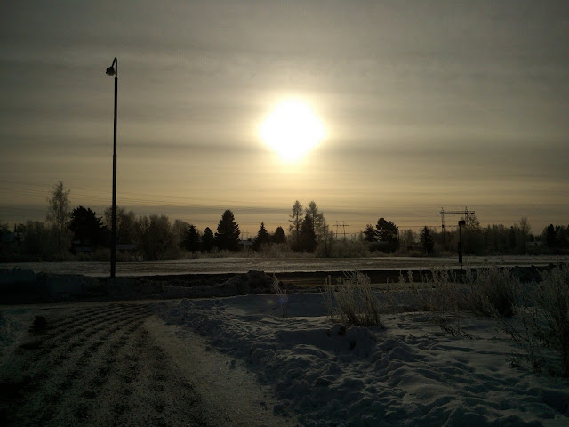 WP_000381_.jpeg