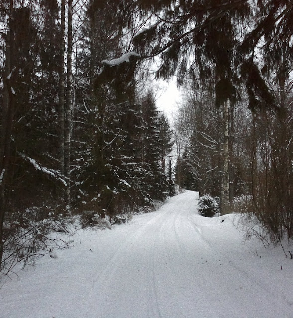 2013-02-21-658_.jpeg