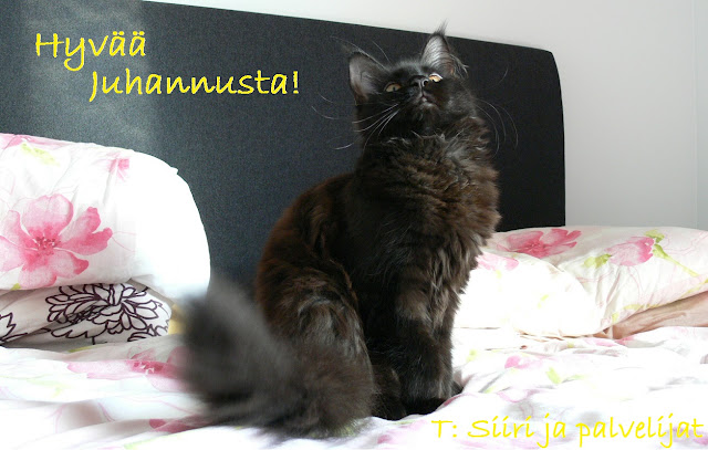 Hyv%C3%A4%C3%A4_Juhannusta!.jpeg