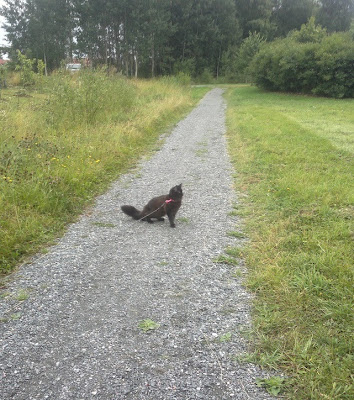 siiritutustuuuuteenpaikkaan.jpeg