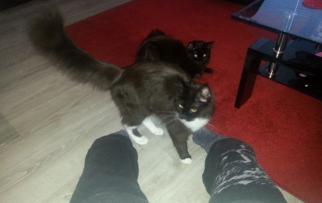 20131201_131246.jpeg