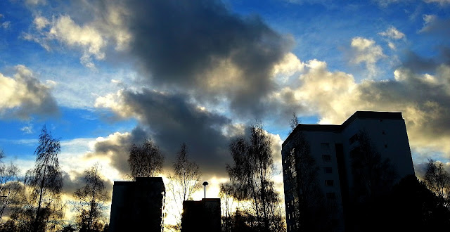 20131205_123246_.jpeg