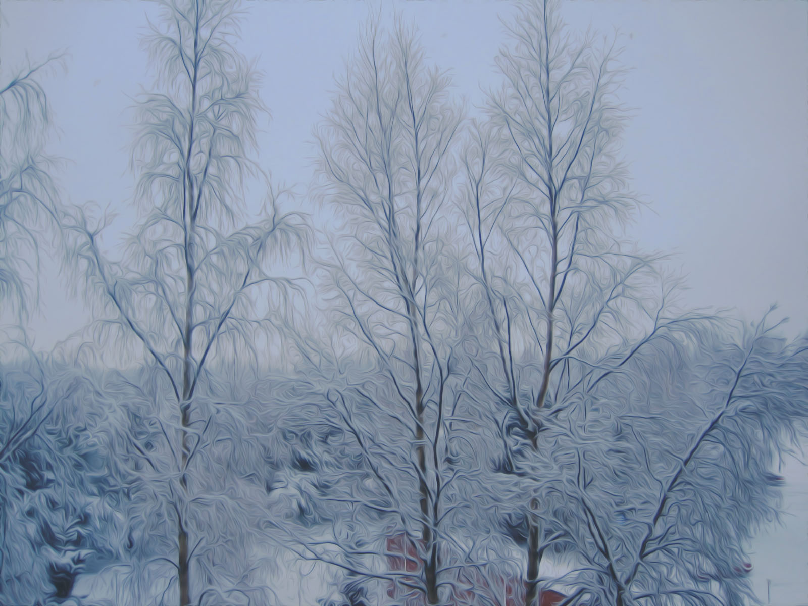 puut2010.jpeg
