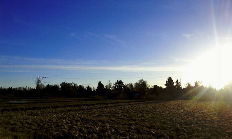 20140311_080700.jpeg