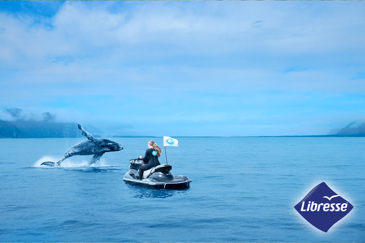 WWYW_whale.png