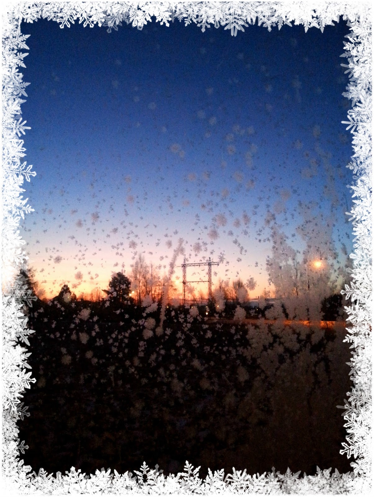 20150121_082355.jpeg
