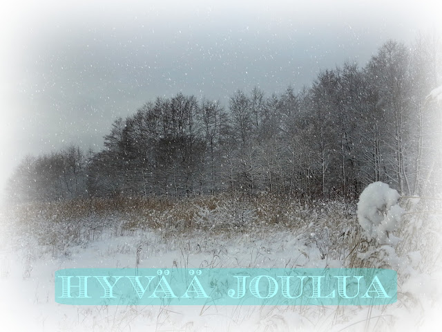 hyv%25C3%25A4%25C3%25A4joulua2.jpeg
