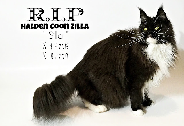 Rip Silla.jpeg