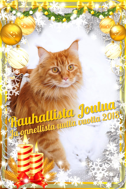 JoulukorttiSuuuloo.jpeg