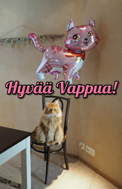 Hy%25C3%25A4%25C3%25A4Vappua2019.jpeg