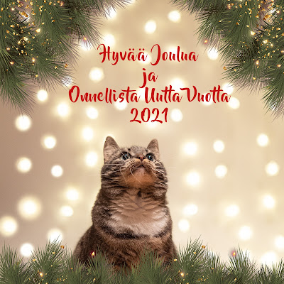 Hyv%25C3%25A4%25C3%25A4Joulua2020.jpeg