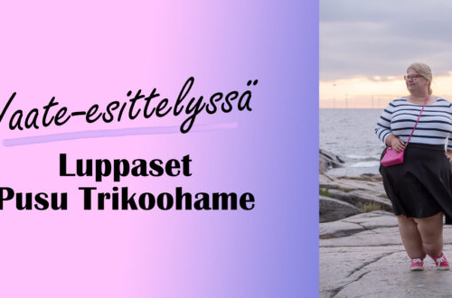 LuppasetHameKansi2