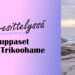 LuppasetHameKansi2