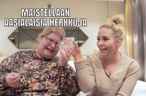 AasialaisherkkujenMaisteluKansi2B