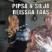 Pipsa_ja_Silja_FrouvatTurussaKANSI2B