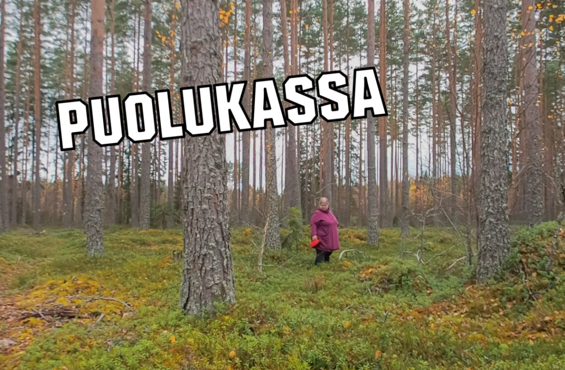 Puolukassakansi2