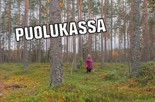 Puolukassakansi2