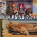 MyDay2311KANSI2