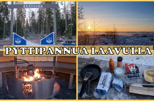 PYTTIPANNUALAAVULLAKANSI