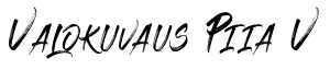 valokuvaus piiav